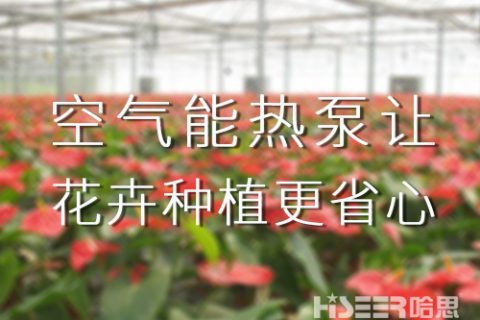 空氣能熱泵讓花卉種植更省心，優(yōu)品率可達(dá)90%以上