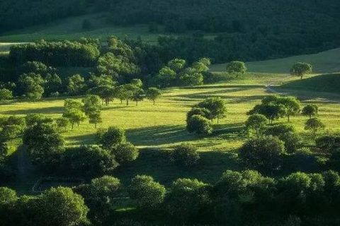 河北完成農(nóng)村地區(qū)氣代煤、電代煤等清潔取暖改造1125萬(wàn)戶(hù)